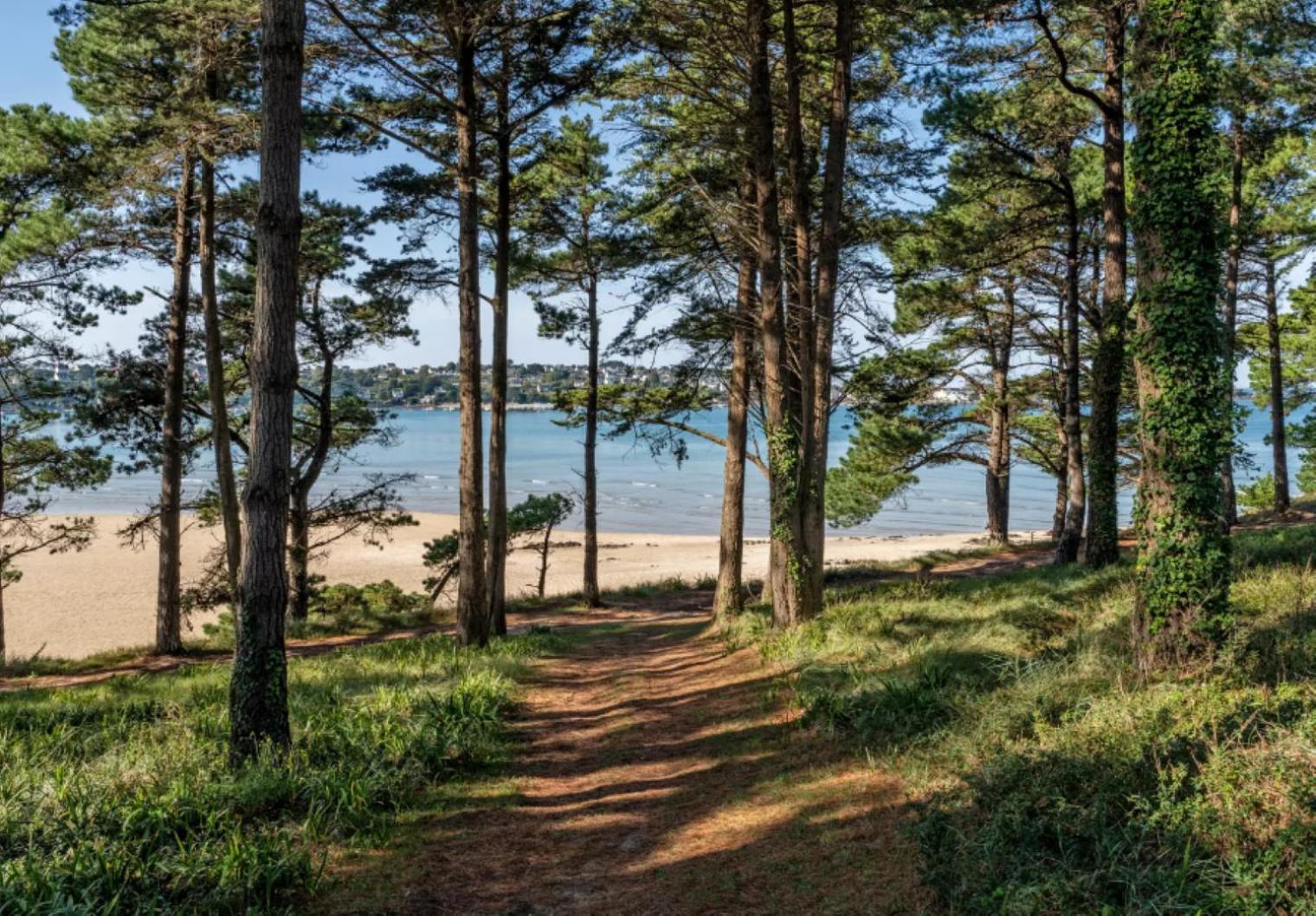 Residence Route De La Corniche Vue Mer Plestin-les-Grèves エクステリア 写真
